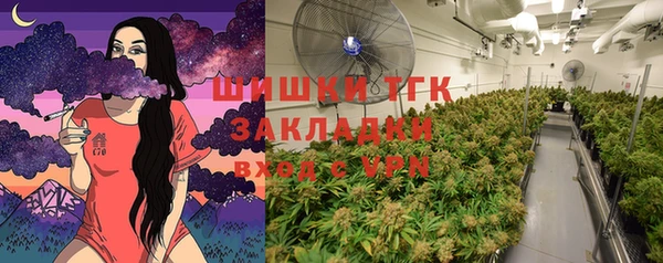 крисы Аркадак