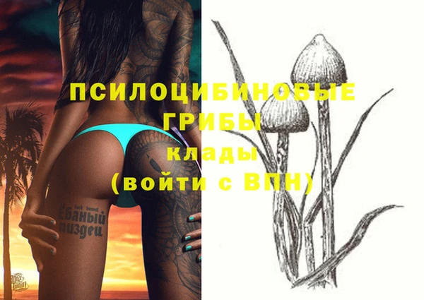 бутират Михайлов