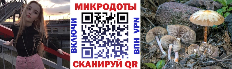 Псилоцибиновые грибы Psilocybine cubensis  закладки  Белоусово 